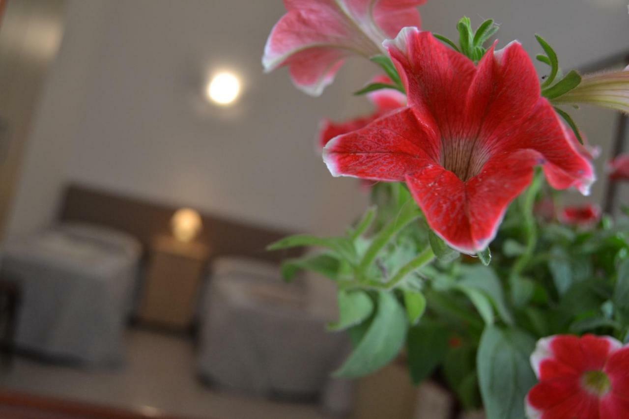 I Due Tesori Bed & Breakfast San Cesario di Lecce Exterior photo